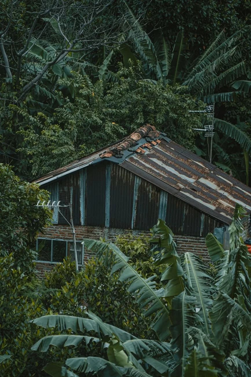 Maison à toit de tôle sous climat tropical en Nouvelle-Calédonie, exposée au risque cyclonique