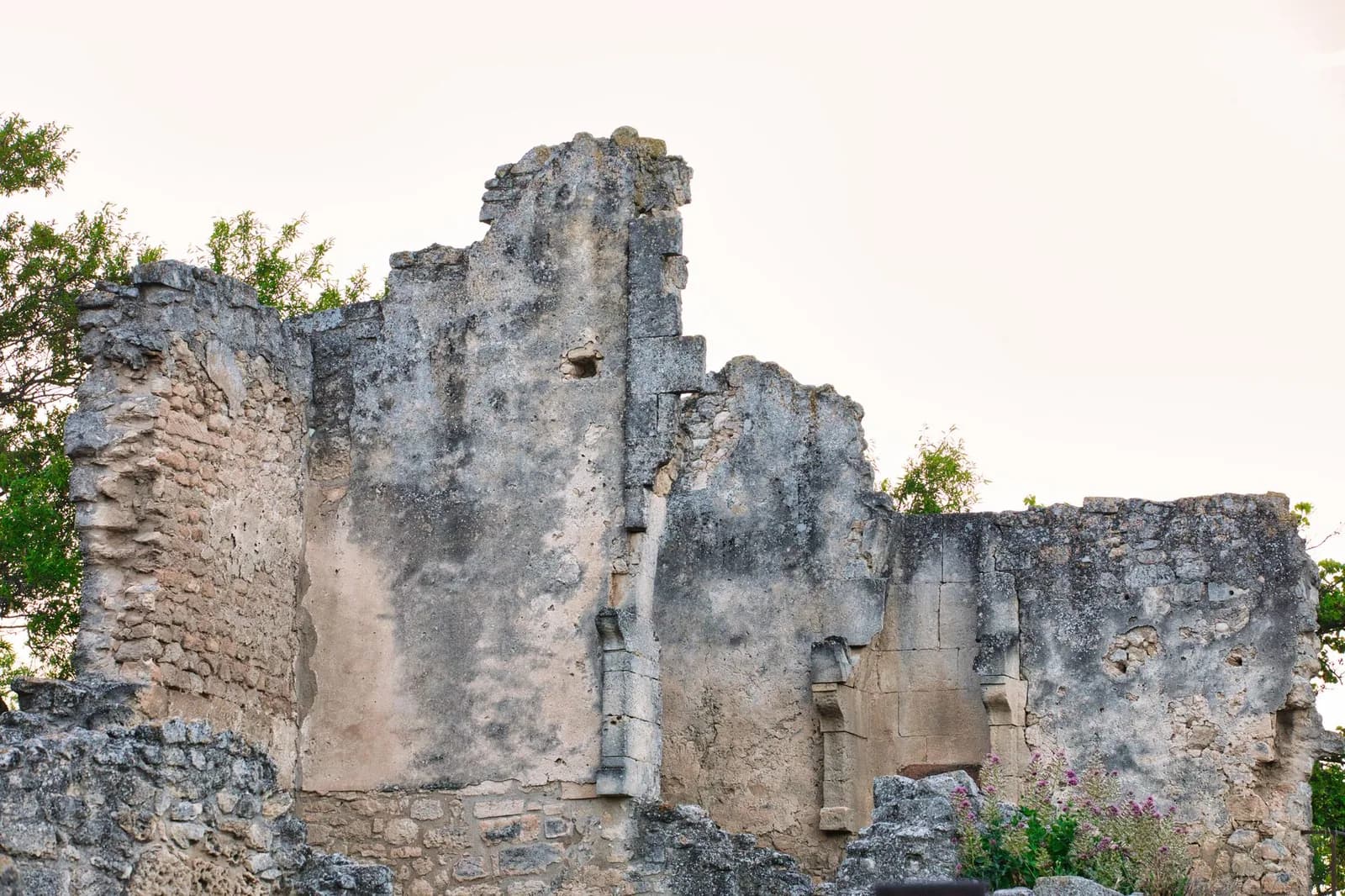 Vestiges d'un ancien bâtiment en pierre aux murs en ruine envahis par la végétation, évoquant les ruines pénitentiaires coloniales