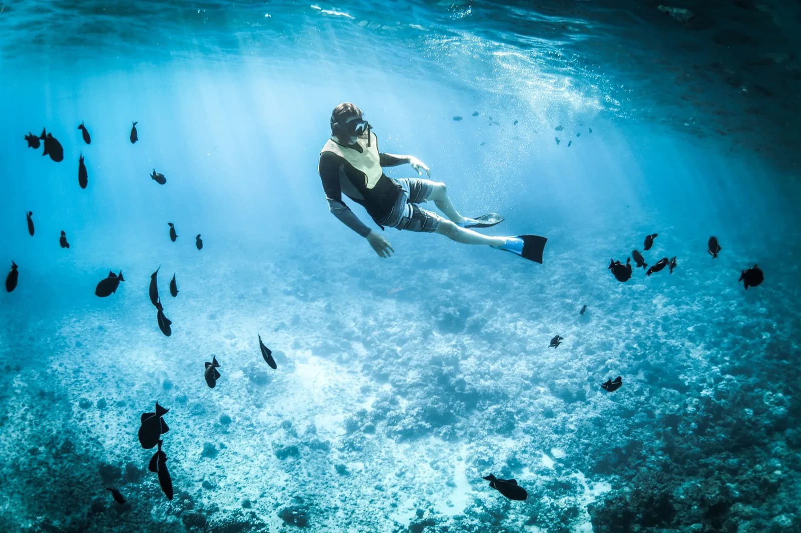 Personne en snorkeling nageant au-dessus d'un récif parmi des poissons dans une eau claire