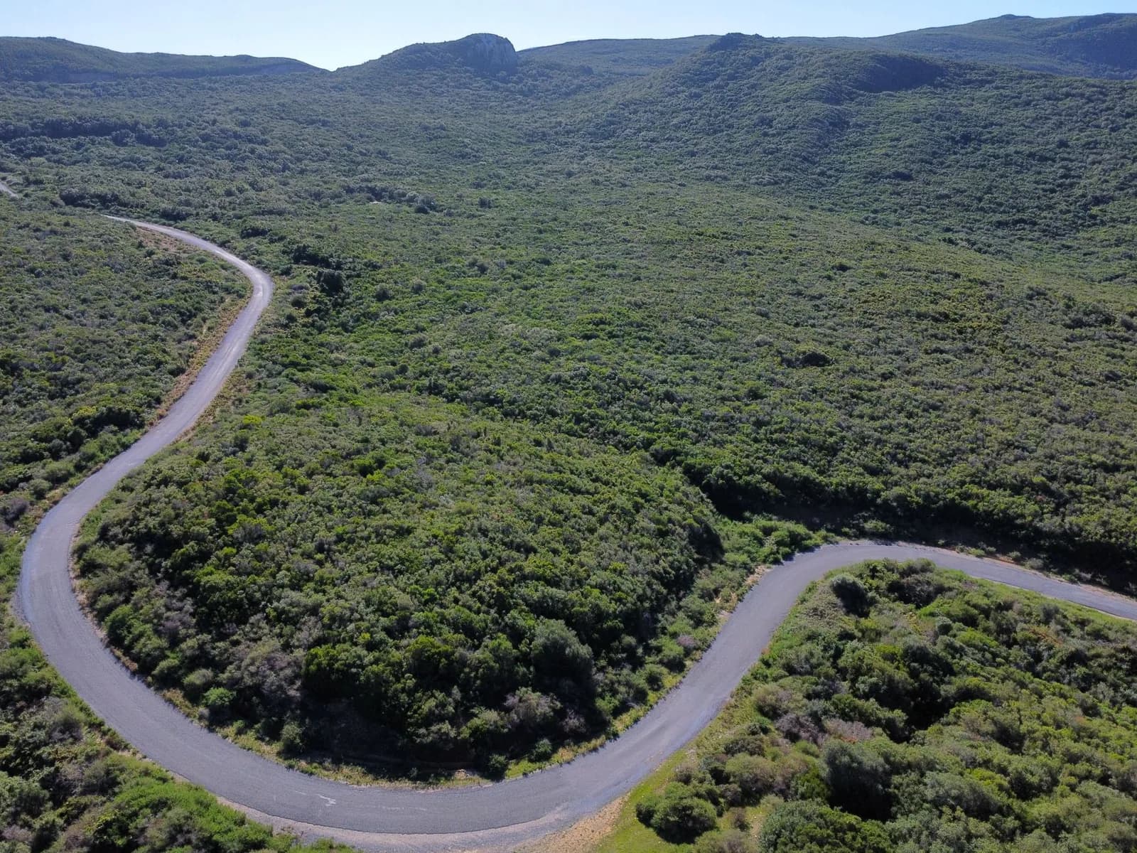 Route sinueuse traversant un paysage de collines verdoyantes