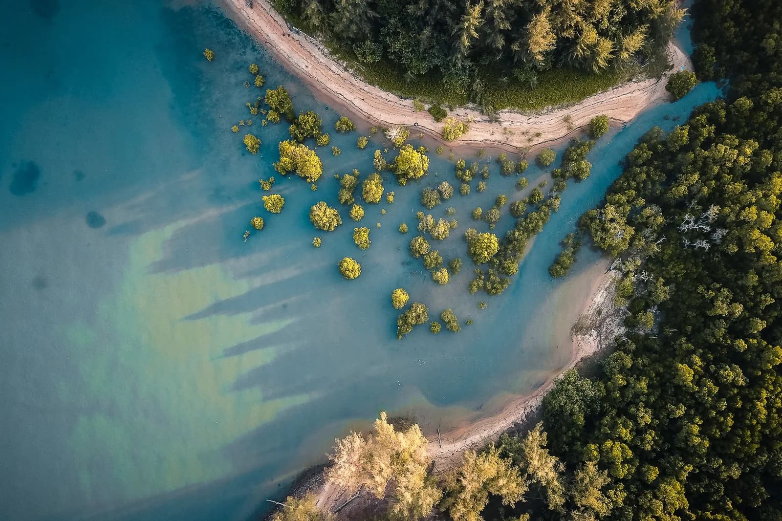 Vue aérienne de mangroves parsemées dans une lagune aux eaux turquoise bordée de forêt, paysage évoquant la côte ouest de la Grande Terre