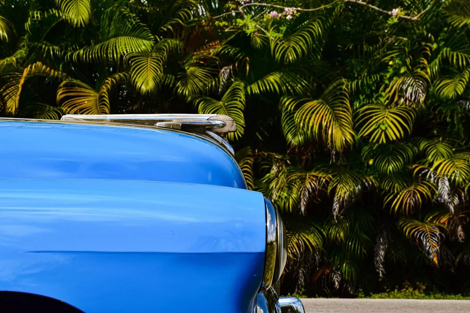Voiture bleue stationnée devant une végétation tropicale de palmiers, illustrant l'assurance auto en zone tropicale