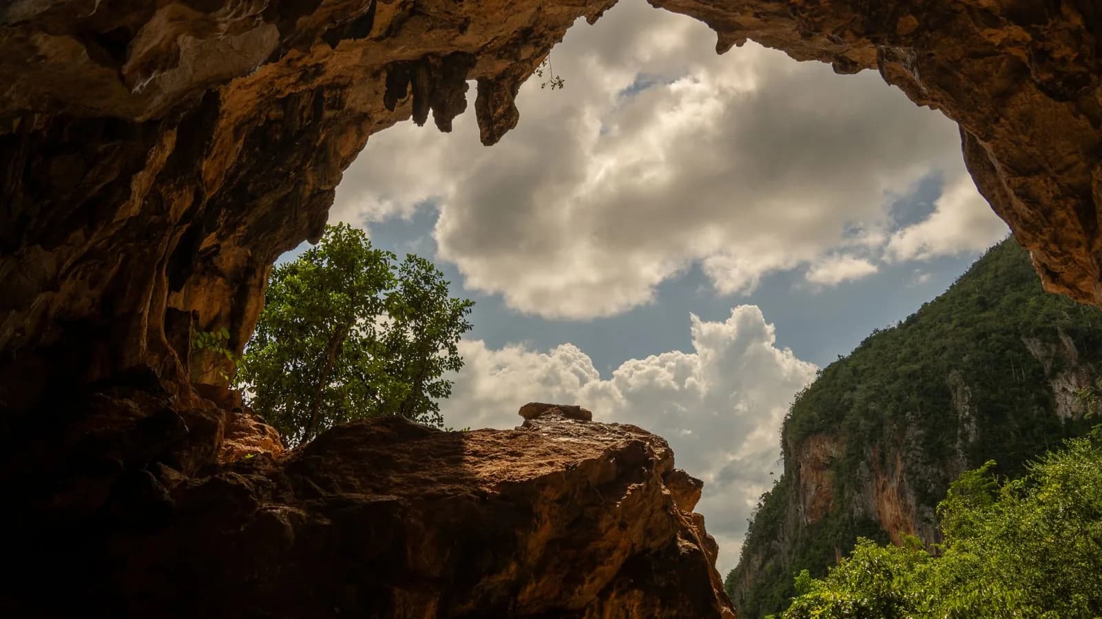 Entrée d'une grotte calcaire s'ouvrant sur un paysage karstique tropical verdoyant, image d'illustration (la grotte de Gossanah n'est pas représentée)