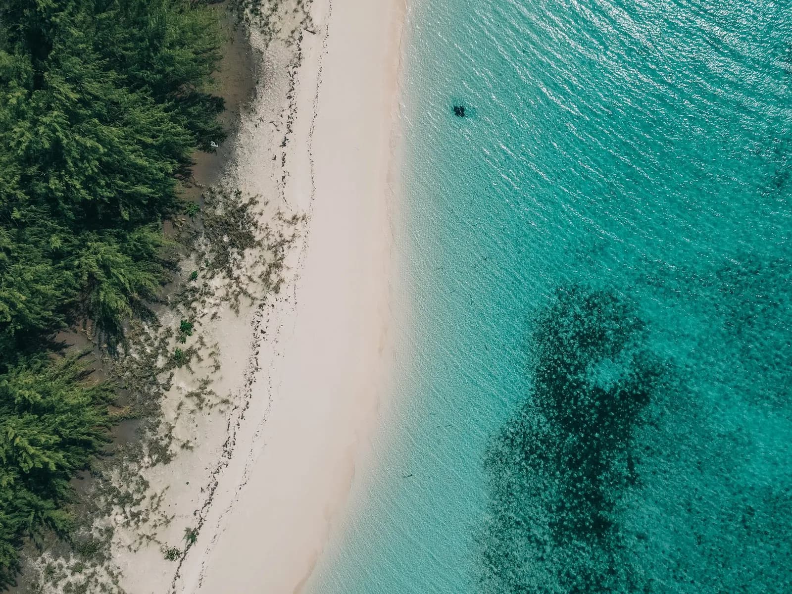Plage de sable blanc bordée d'un lagon turquoise aux eaux transparentes, Îles Loyauté, Nouvelle-Calédonie