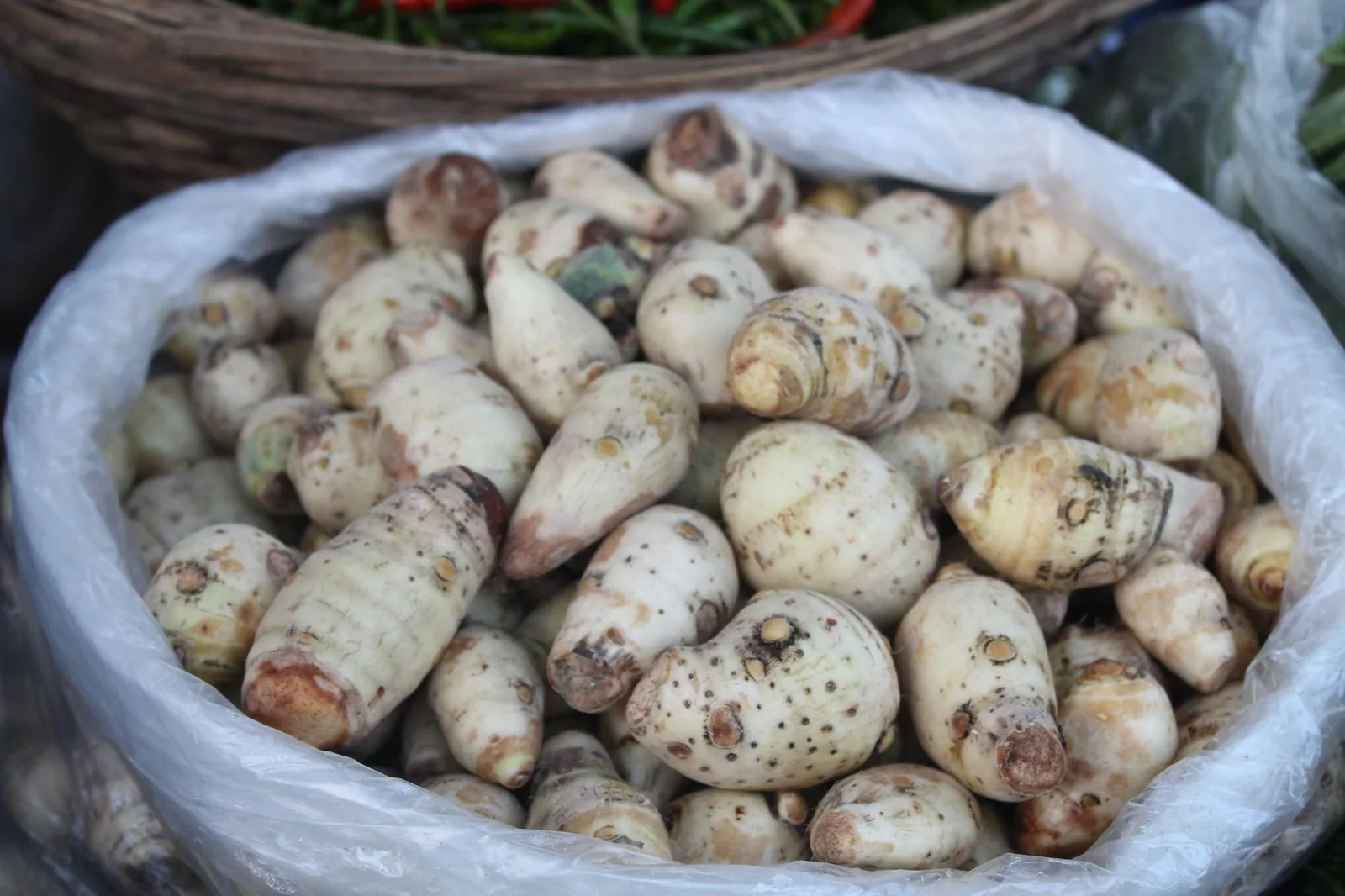 Racines de taro fraîches sur un étal de marché, l'un des tubercules de base du bougna calédonien