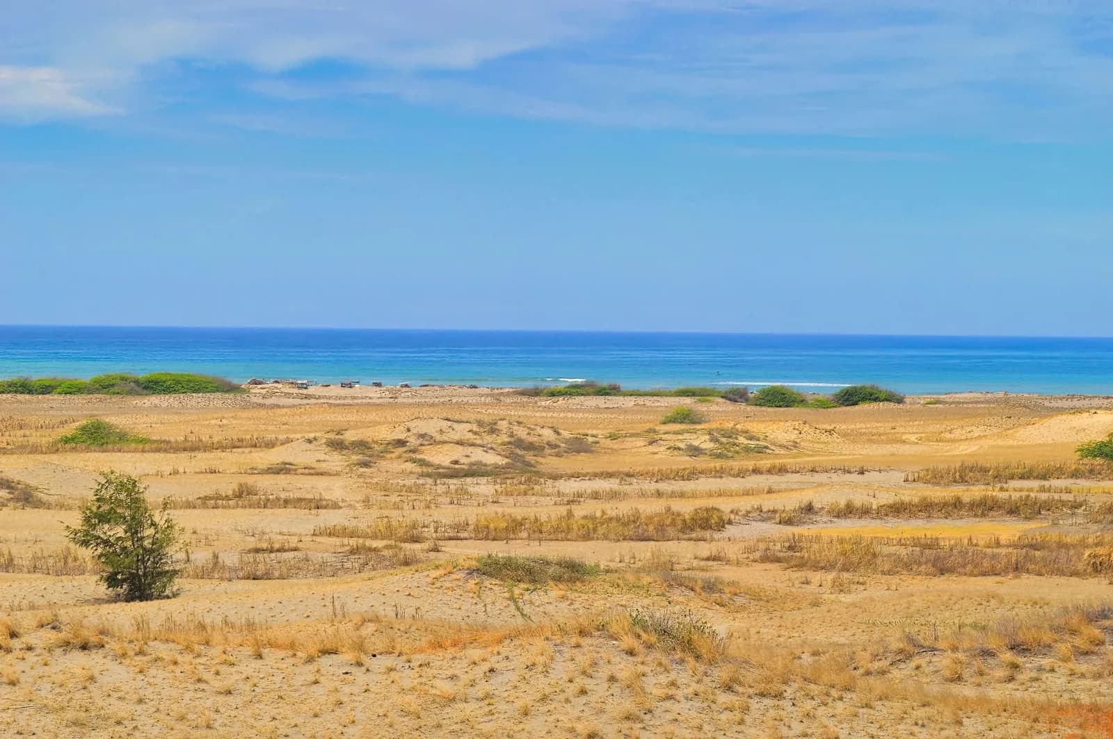 Végétation sèche et dunes en bord de mer, évoquant les paysages arides de la côte ouest de la Grande Terre