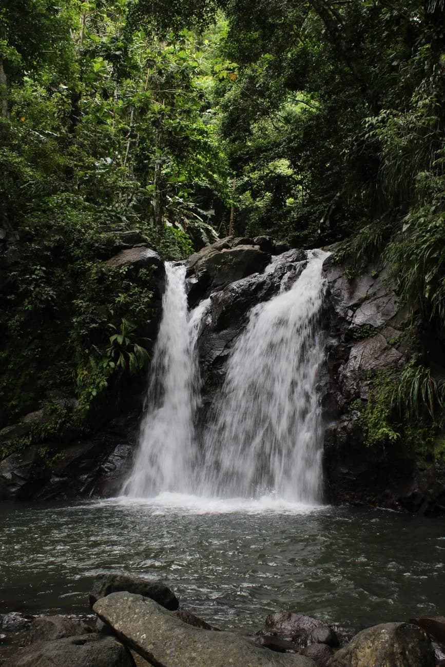 Cascade se jetant dans un bassin au cœur d'une forêt tropicale luxuriante