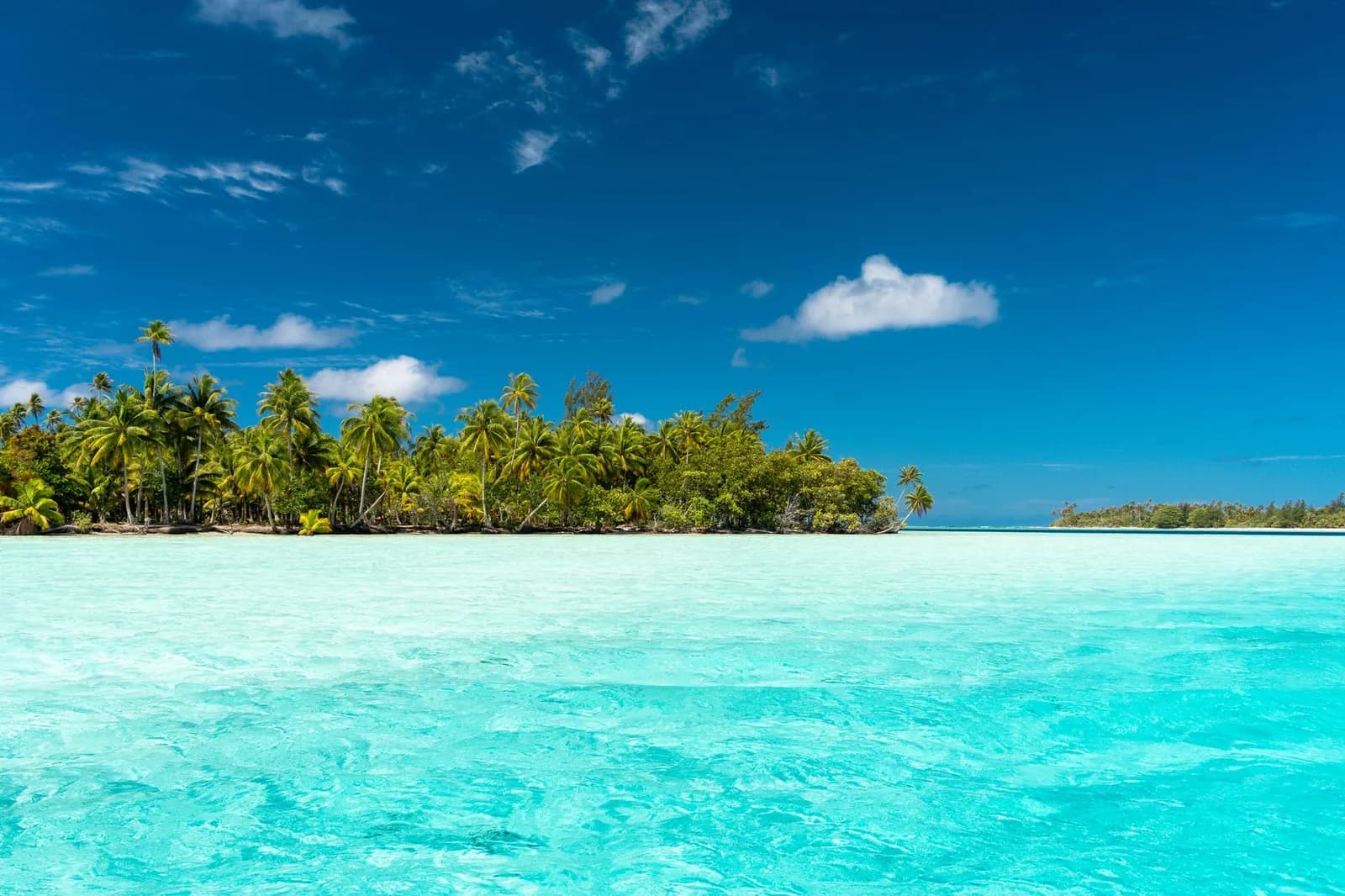 Lagon turquoise aux eaux limpides bordant une île tropicale plantée de cocotiers, ambiance des lagons du Pacifique comme aux îles Loyauté