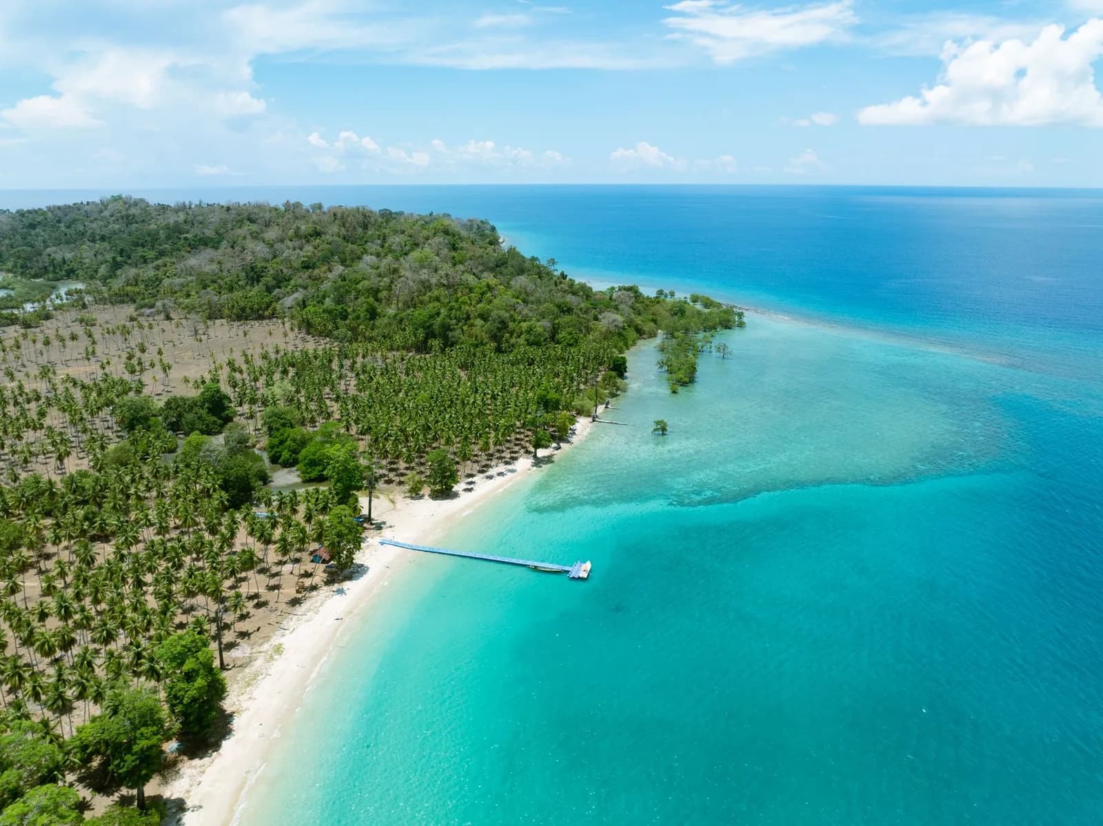 Plage de sable blanc bordée de cocotiers ouvrant sur un lagon turquoise, ambiance des îles du Pacifique comme les îles Loyauté