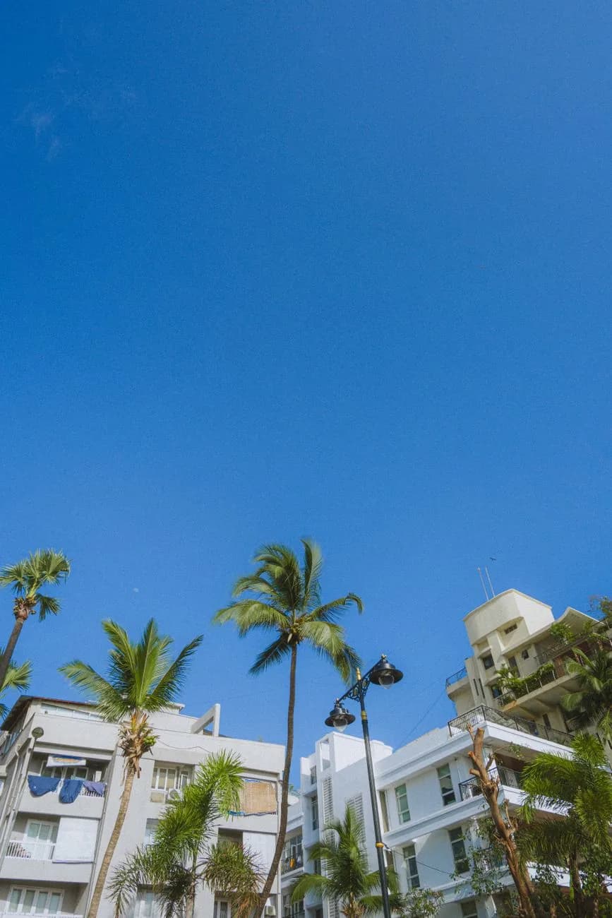 Immeubles résidentiels blancs et palmiers dans un secteur recherché de Nouméa