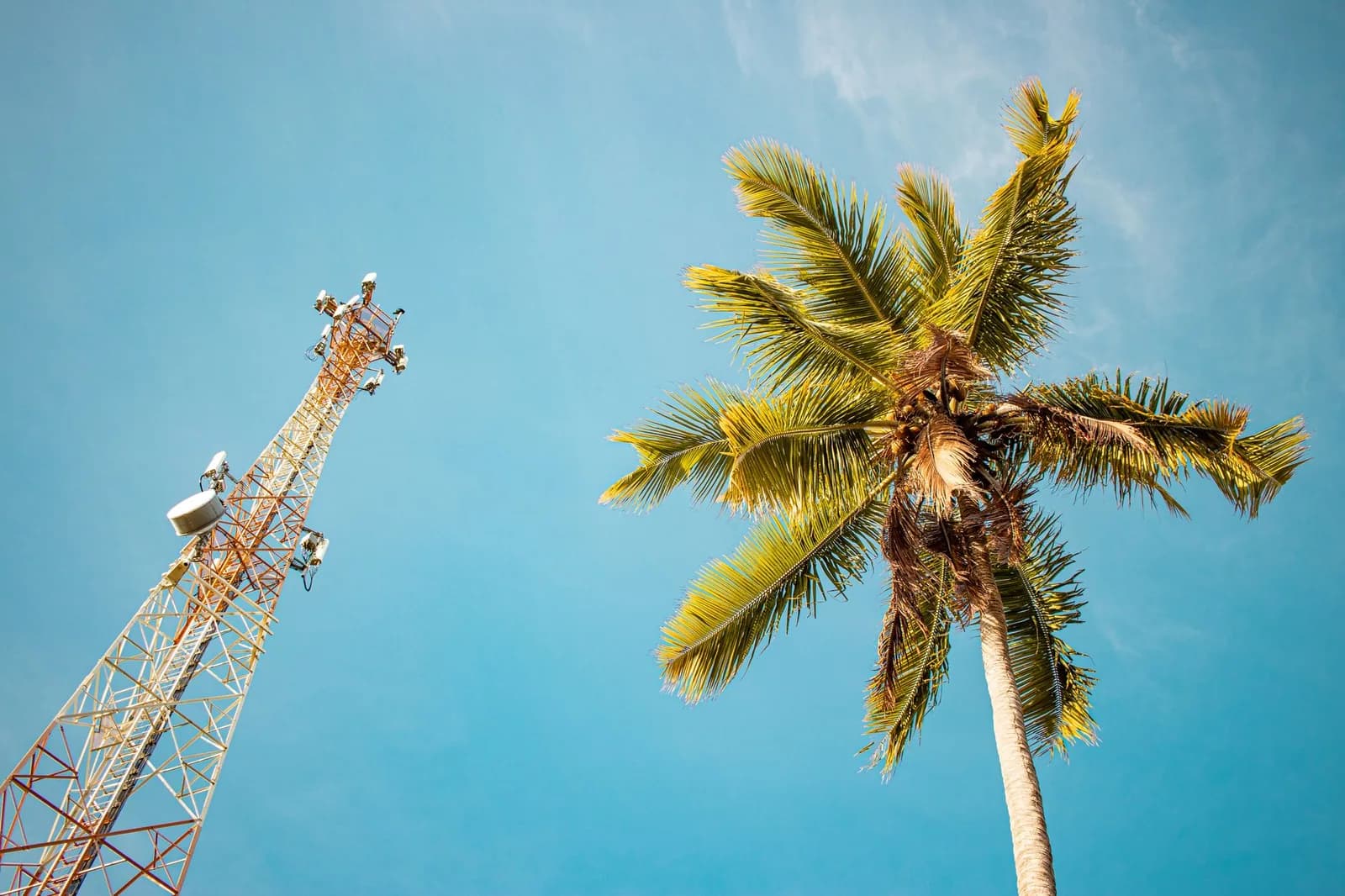 Internet & téléphonie