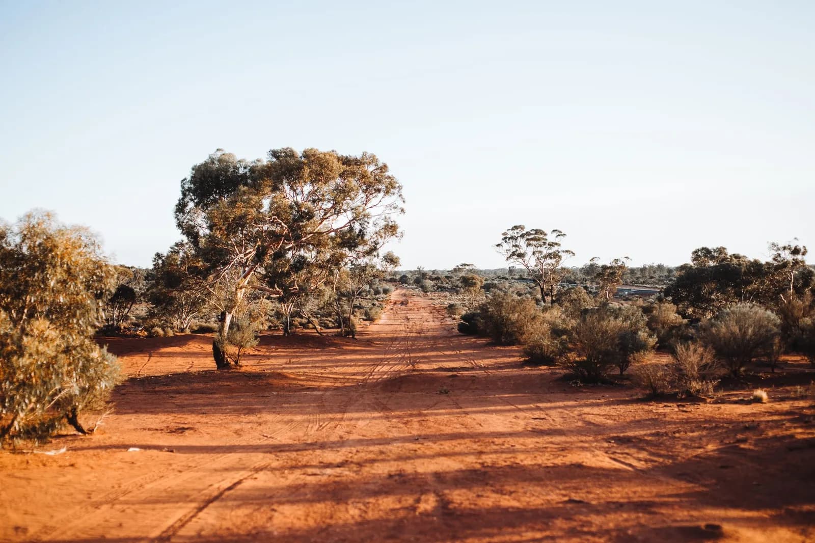 Piste de terre rouge traversant une brousse d’arbres clairsemés, paysage évoquant le Grand Sud minier de la Nouvelle-Calédonie