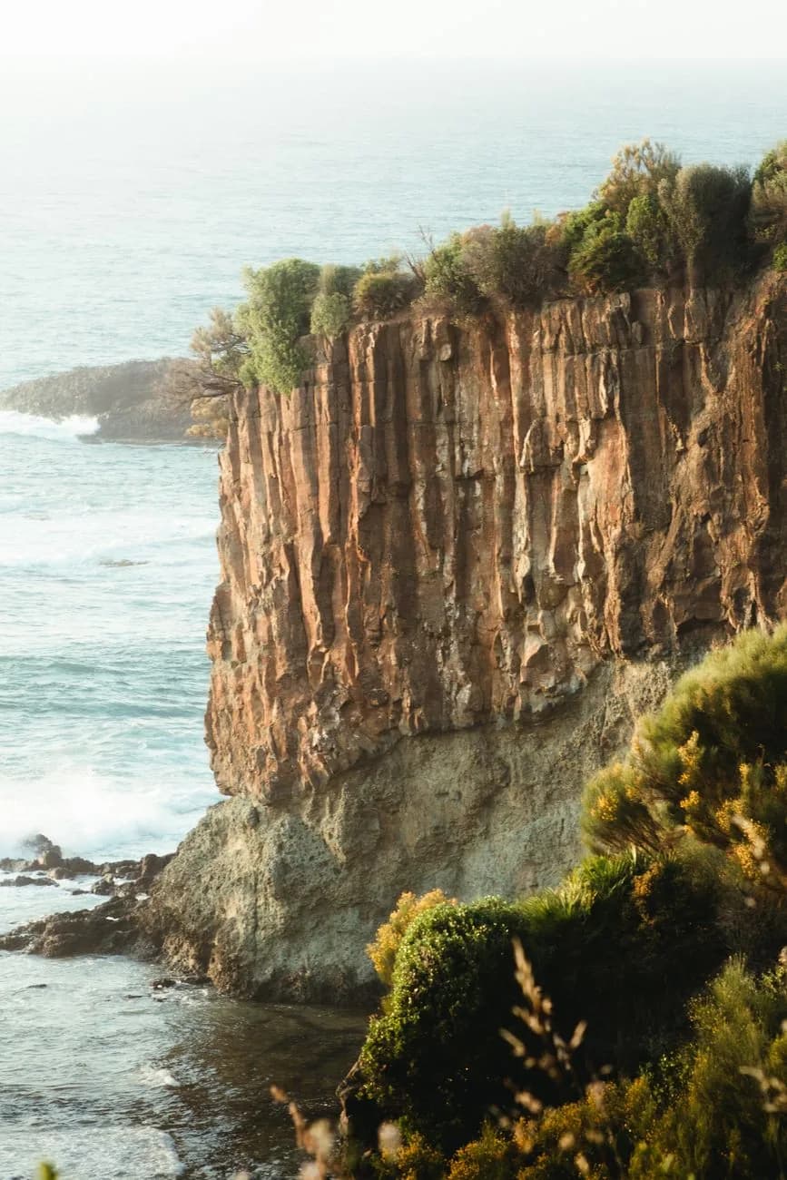 Falaise rocheuse escarpée coiffée de végétation surplombant les vagues de l'océan