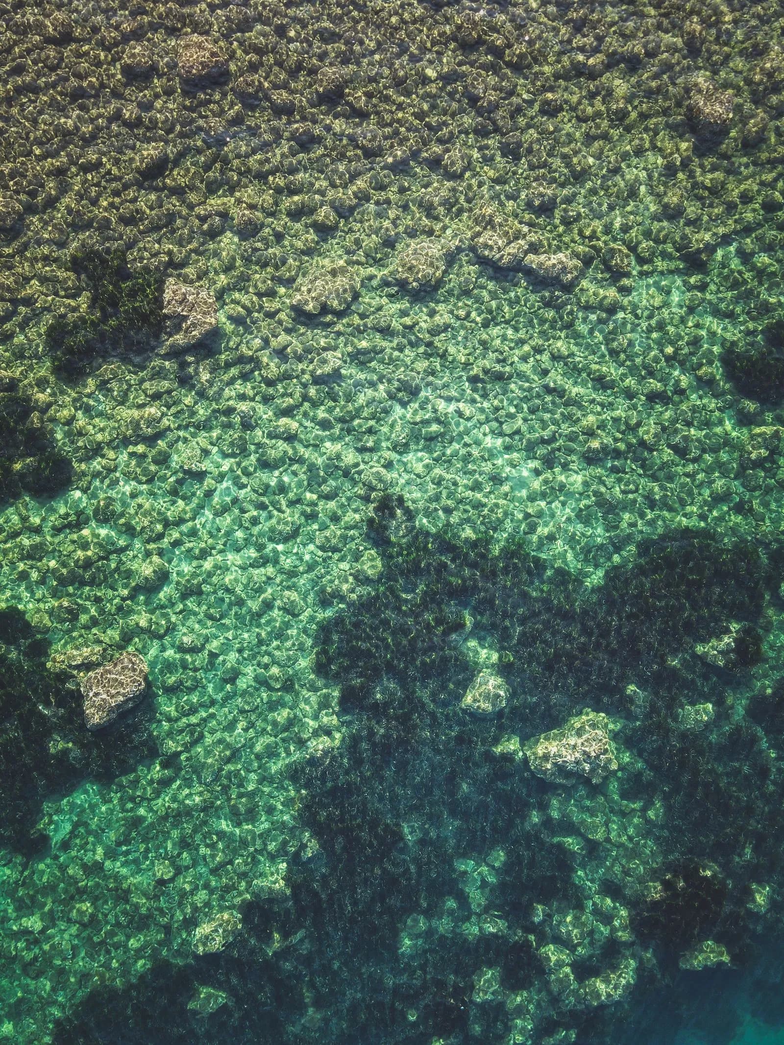 Lagon turquoise de Nouvelle-Calédonie vu du ciel