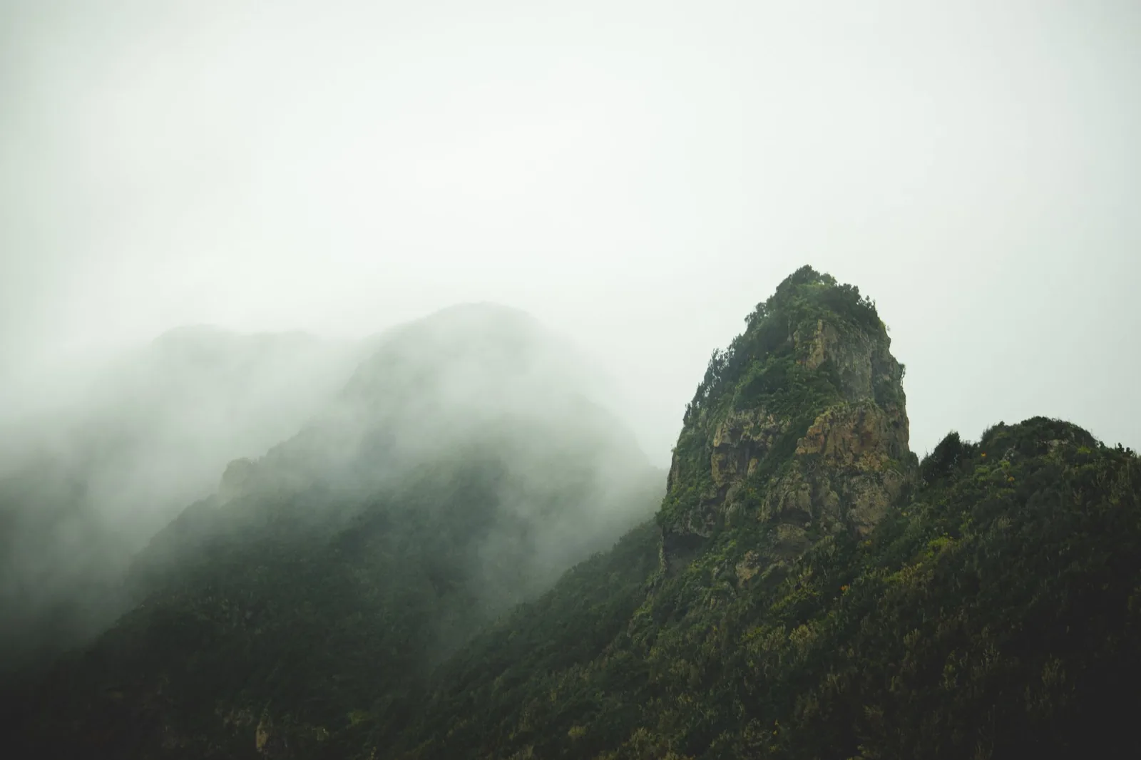 Sommet forestier verdoyant enveloppé de brume et de nuages bas, ambiance humide typique des hauts reliefs tropicaux