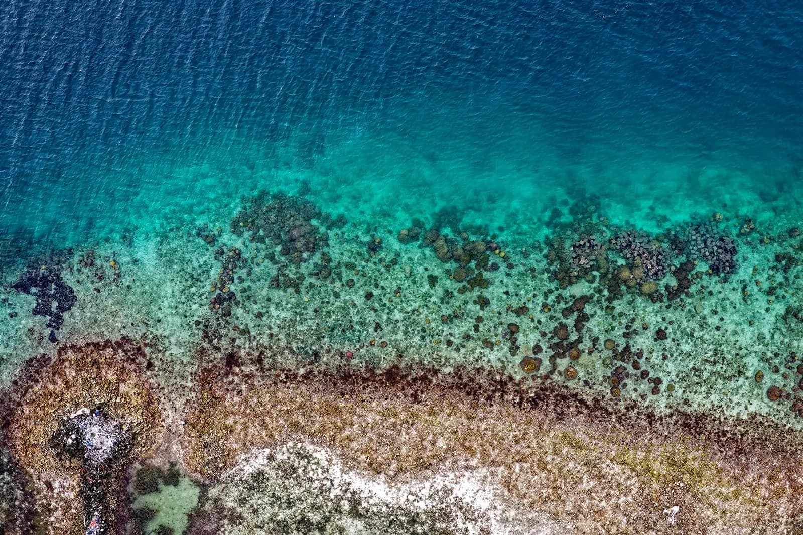 Statut sui generis et Accord de Nouméa
