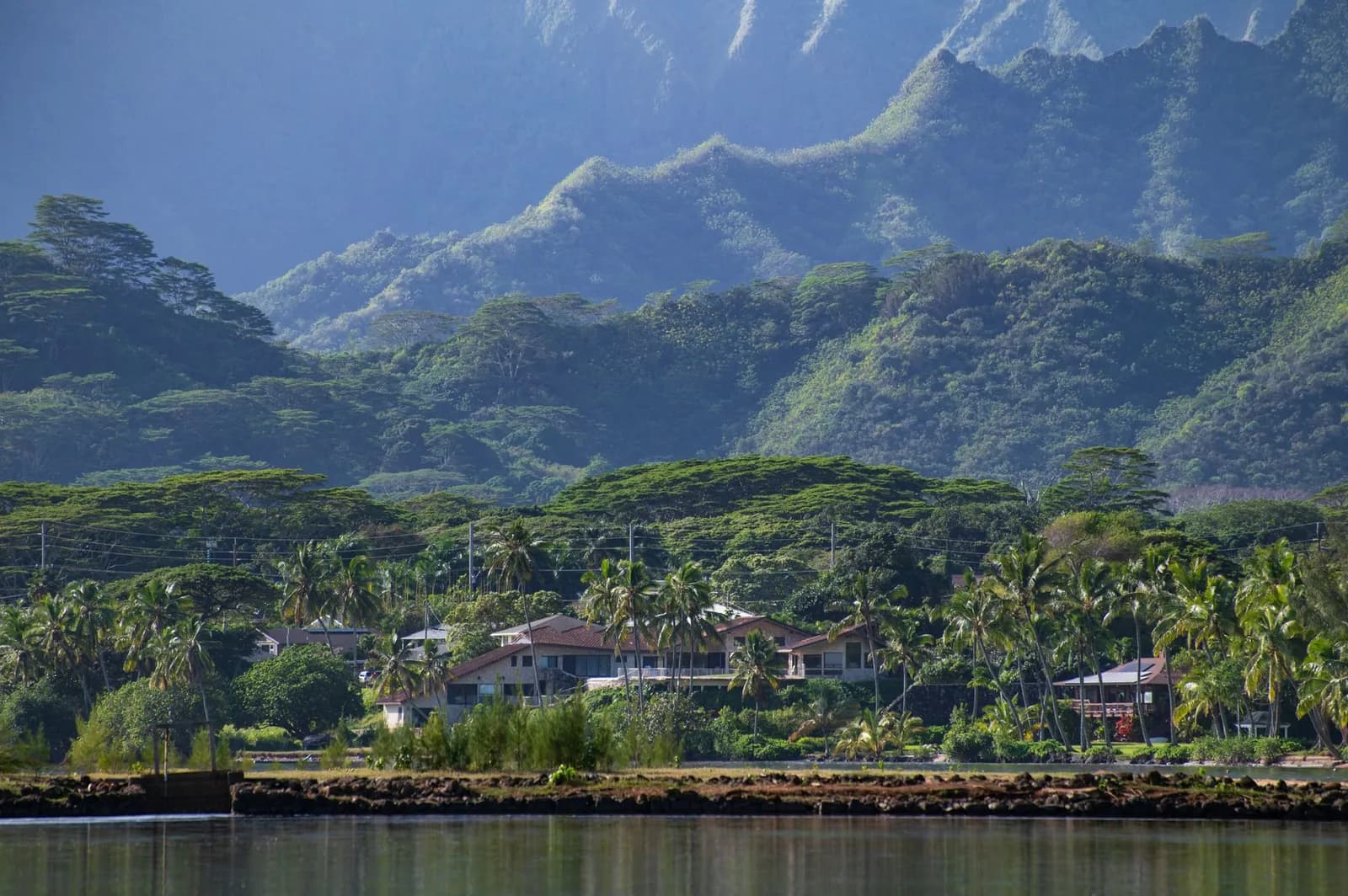 Maisons d'un quartier résidentiel nichées au pied de collines verdoyantes dans un cadre tropical du Pacifique
